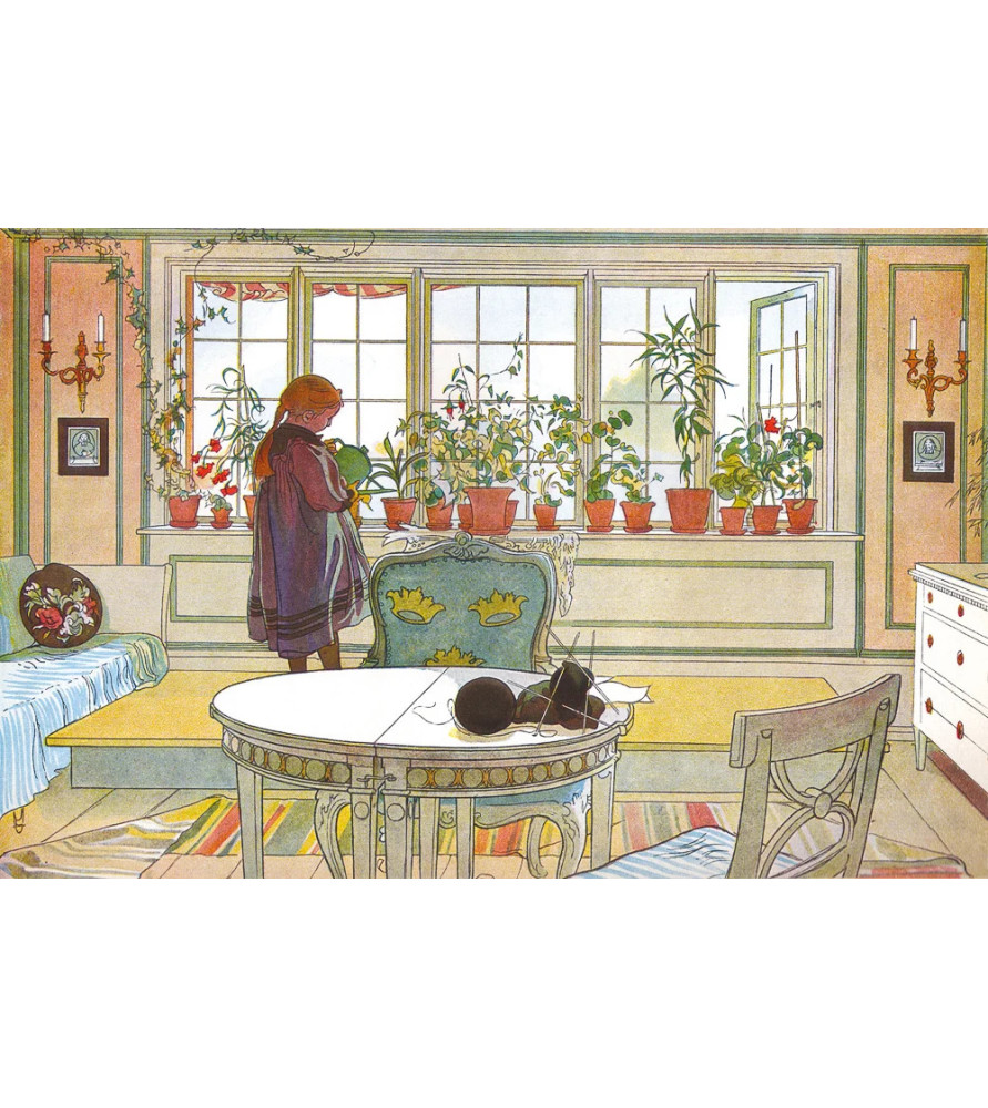 Fleurs Sur La Fenetre Puzzle Bois 80 Pièces