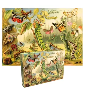 Puzzle Merveilles de la nature – insectes et papillons vintage en pleine nature – chez Assemblez-Moi à Langon