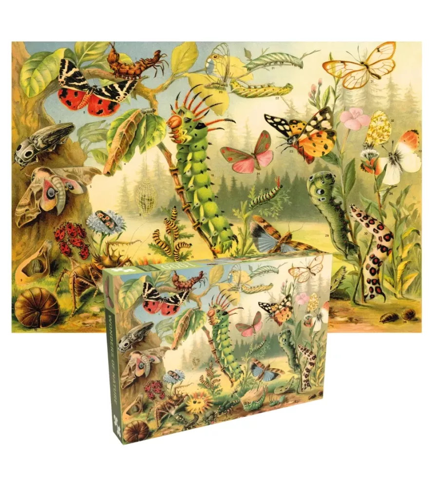Puzzle Merveilles de la nature – insectes et papillons vintage en pleine nature – chez Assemblez-Moi à Langon