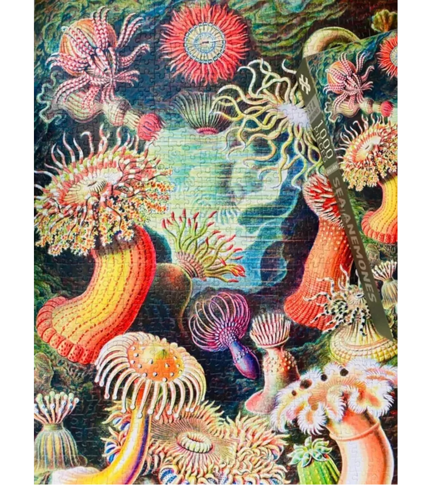 Puzzle Anémones de mer 1000 pièces Penny Puzzle – illustration marine vintage colorée – disponible à Langon