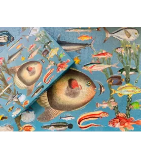 Puzzle Exotic Fish 1000 pièces Penny Puzzle – illustration vintage de poissons tropicaux – disponible à Langon