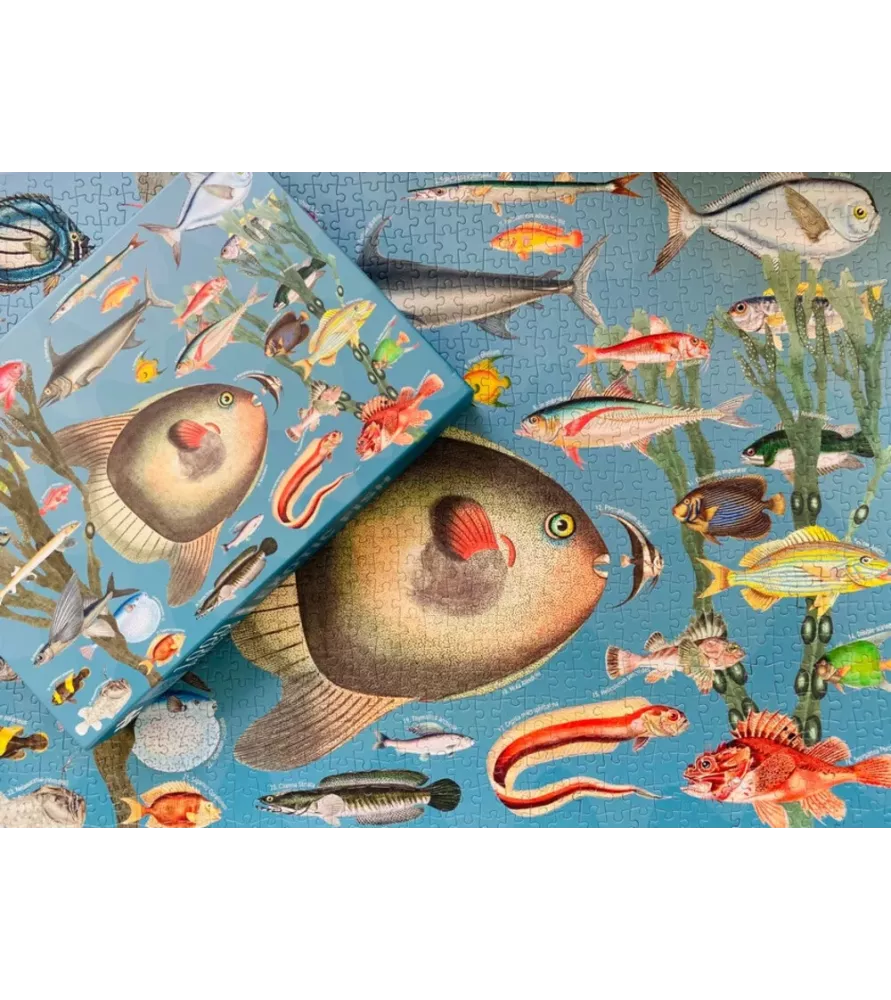 Puzzle Exotic Fish 1000 pièces Penny Puzzle – illustration vintage de poissons tropicaux – disponible à Langon