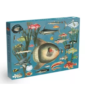 Puzzle Exotic Fish 1000 pièces Penny Puzzle – illustration vintage de poissons tropicaux – disponible à Langon