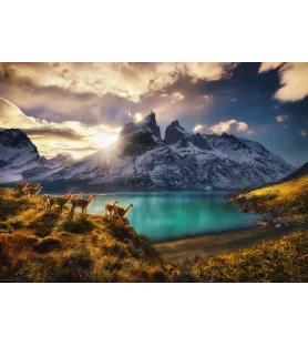 Puzzle Guanacos Heye – paysage de montagne avec lac turquoise et troupeau au premier plan – disponible à Langon