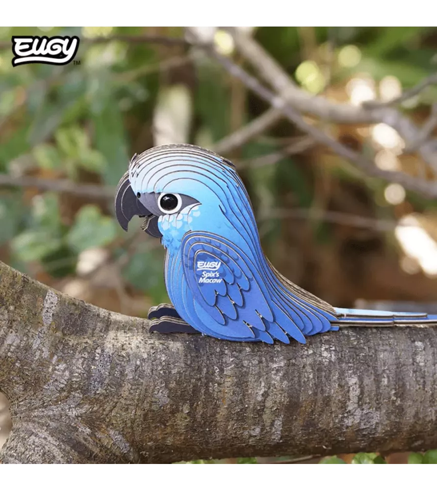 DIY Ara de Spix EUGY – perroquet bleu en maquette 3D carton – chez Assemblez-Moi