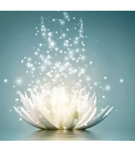 Diamond Painting Magie Lumière Figured'Art – tableau à strass fleur blanche scintillante zen – chez Assemblez-Moi