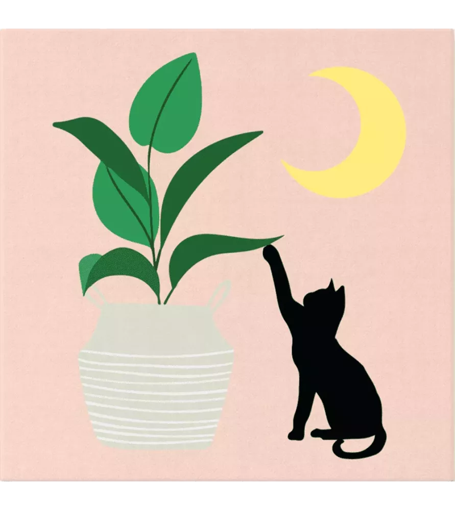 Peinture par Numéros Chaton et Plante au clair de Lune Figured'Art – chat noir lune et plante graphique – chez Assemblez-Moi
