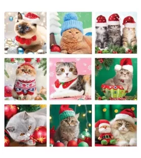 Calendrier de l’Avent Moustaches de Noël – mini-puzzles chatons festifs – chez Assemblez-Moi à Langon