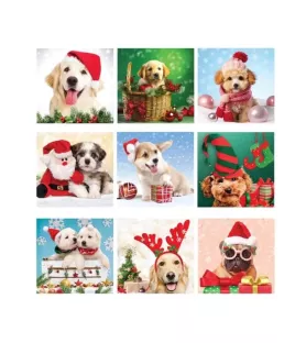 Calendrier de l’Avent Pattes de Noël – puzzles chiens festifs – chez Assemblez-Moi à Langon