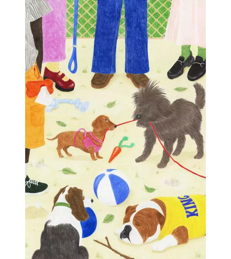 Puzzle Sortir le chien 1000 pièces Jour Férié – chiens en promenade au parc – chez Assemblez-Moi